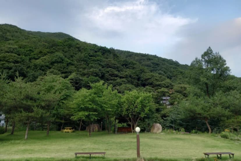 소백산자연누리야영장 사진 7