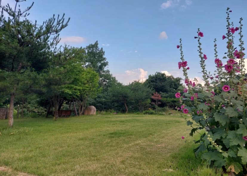 소백산자연누리야영장 사진 8