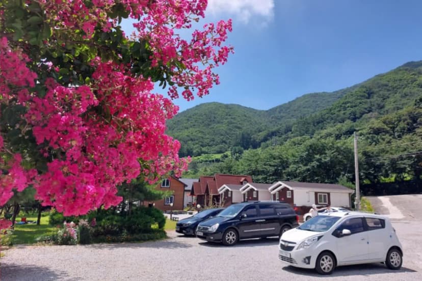 소백산자연누리야영장 사진 13