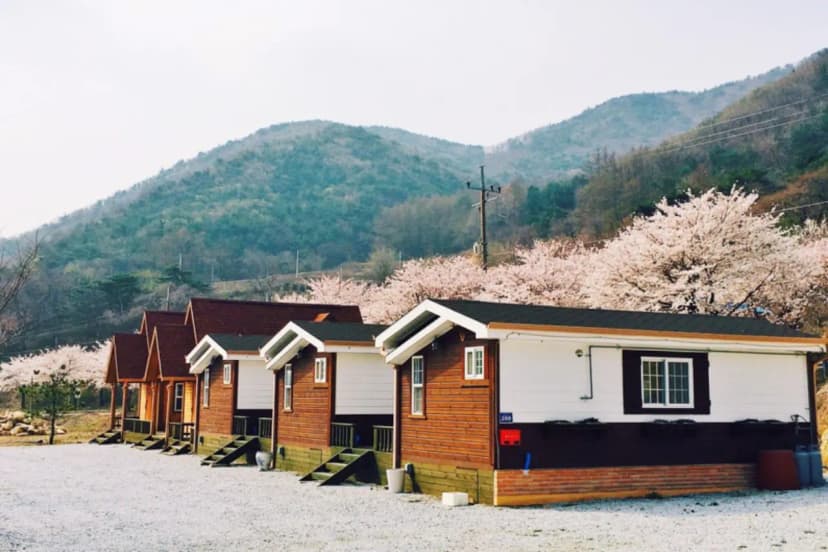 소백산자연누리야영장 사진 17