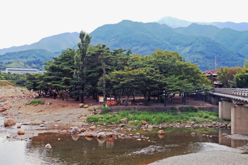 대포숲캠핑장 사진 10