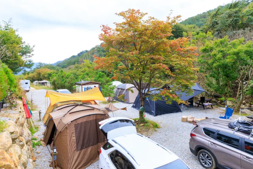 라온밸리캠핑장 사진 11