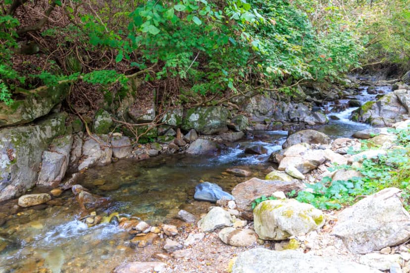 라온밸리캠핑장 사진 13