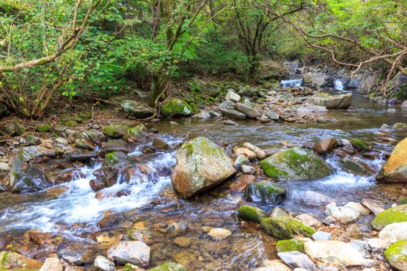 라온밸리캠핑장 사진 14