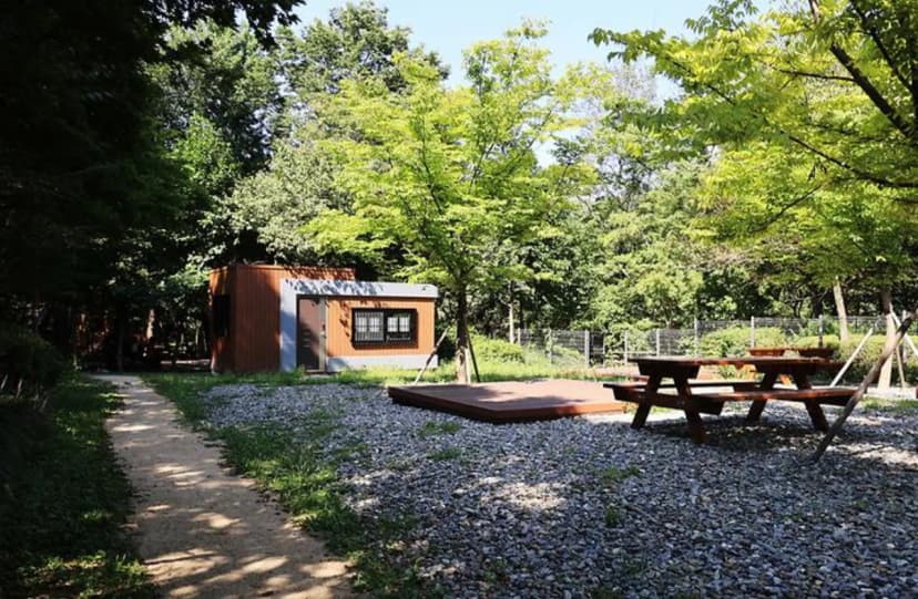 관악산 계곡 캠핑장 사진 3