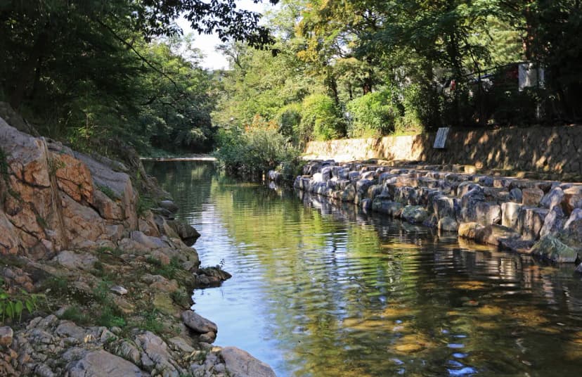 관악산 계곡 캠핑장 사진 4
