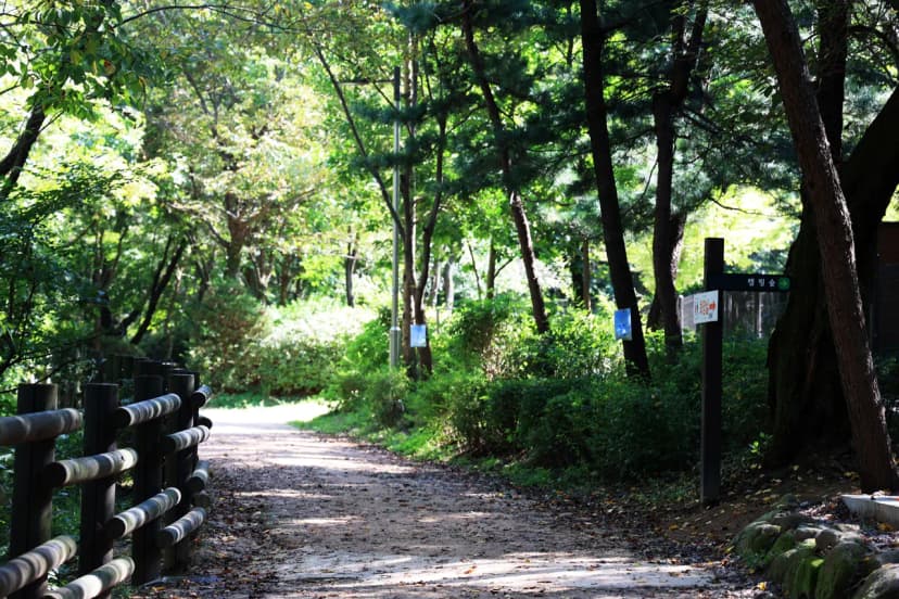 관악산 계곡 캠핑장 사진 6