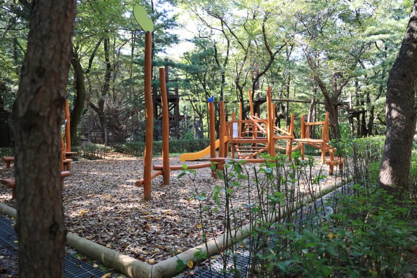 관악산 계곡 캠핑장 사진 7