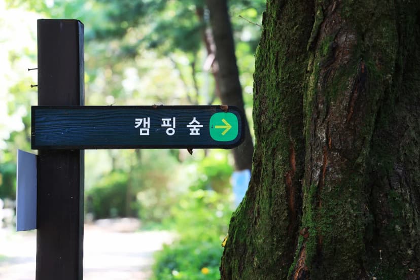 관악산 계곡 캠핑장 사진 8