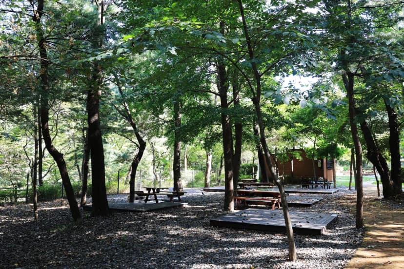 관악산 계곡 캠핑장 사진 9