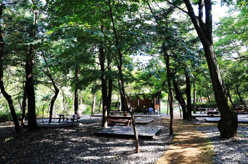 관악산 계곡 캠핑장 사진 10