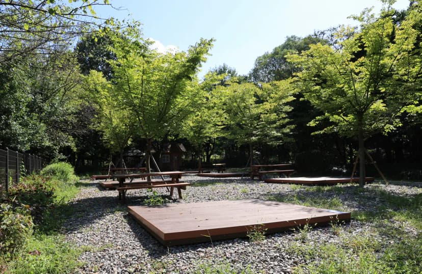 관악산 계곡 캠핑장 사진 19