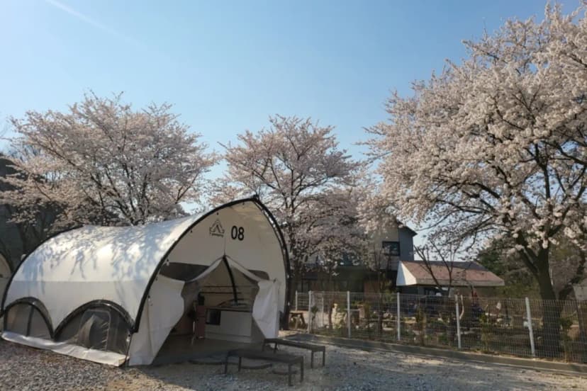 Y글램핑 사진 10