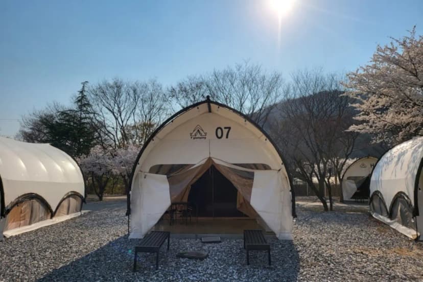 Y글램핑 사진 11
