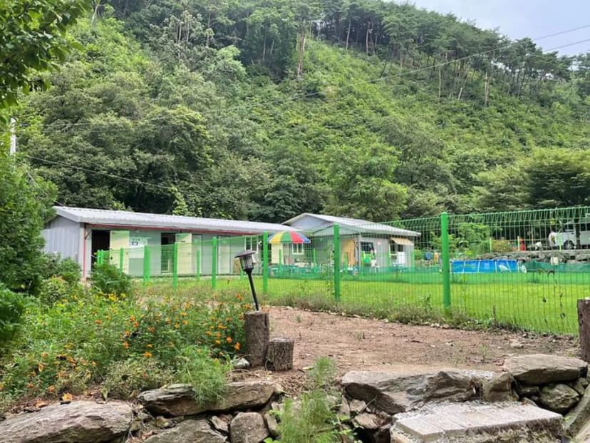 반딧불 캠핑장 사진 2
