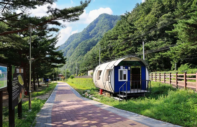 한계산솔밭야영장 사진 3
