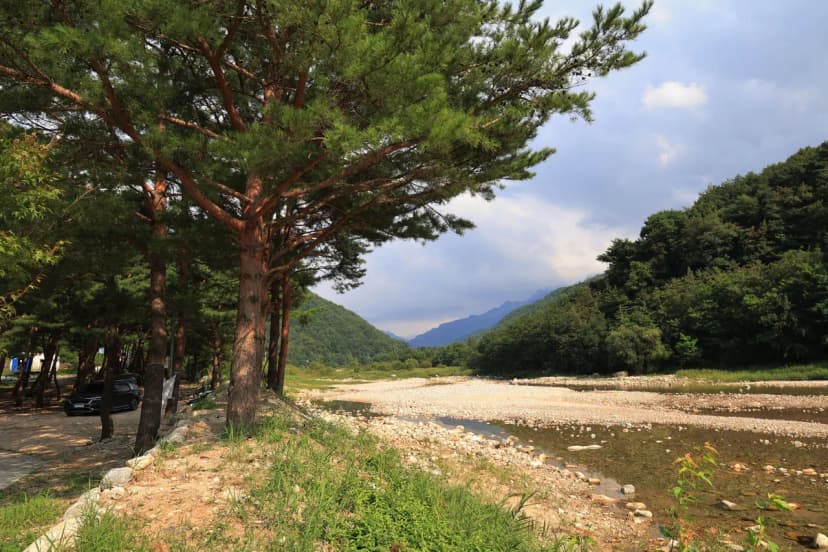 한계산솔밭야영장 사진 4