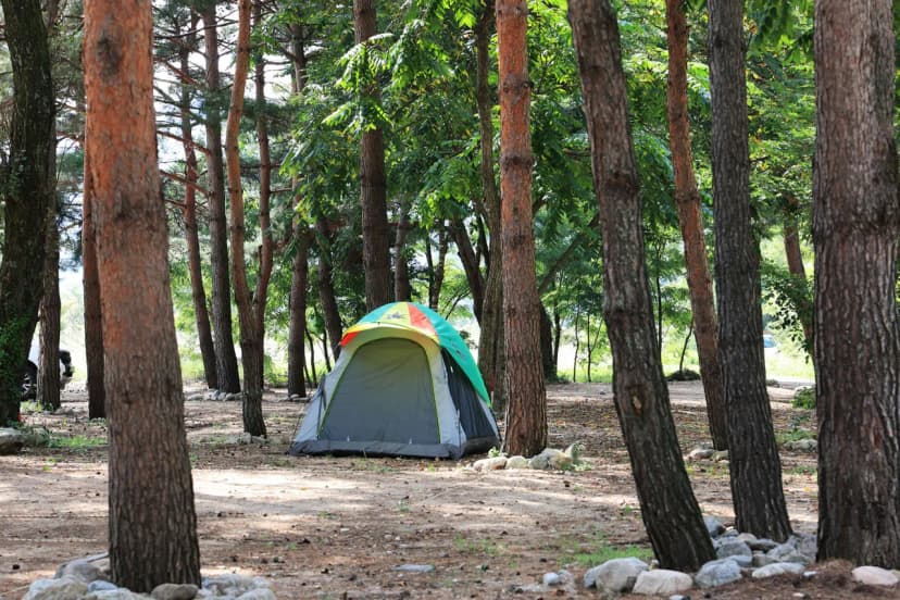 한계산솔밭야영장 사진 8
