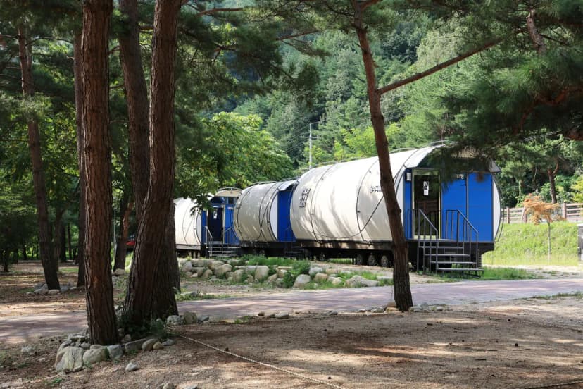 한계산솔밭야영장 사진 9