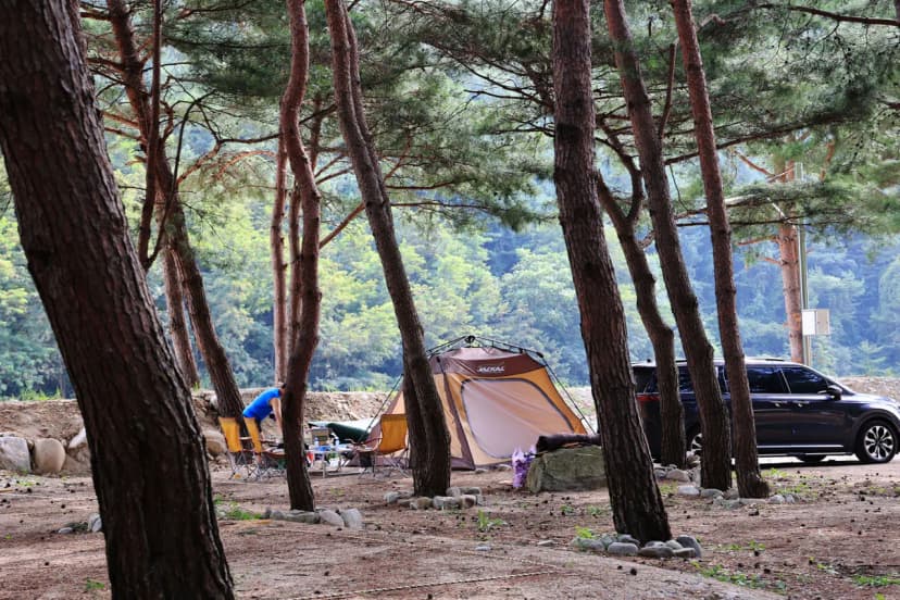 한계산솔밭야영장 사진 11