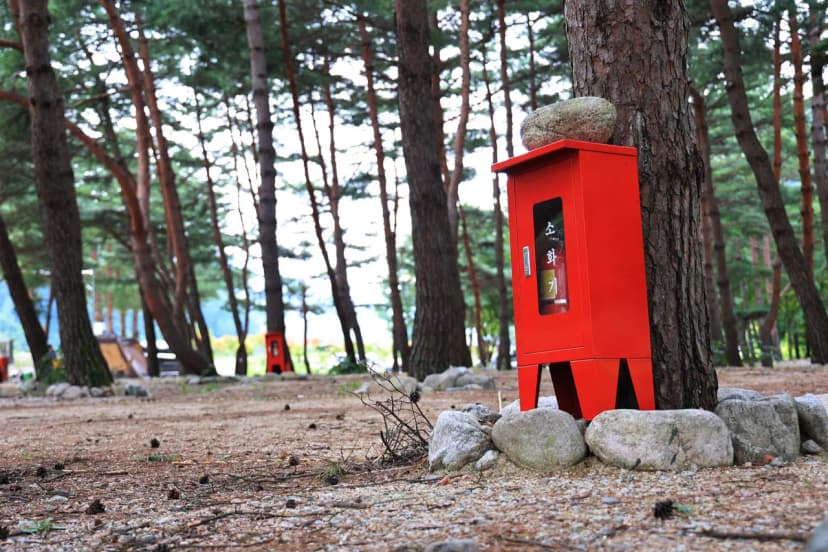 한계산솔밭야영장 사진 13