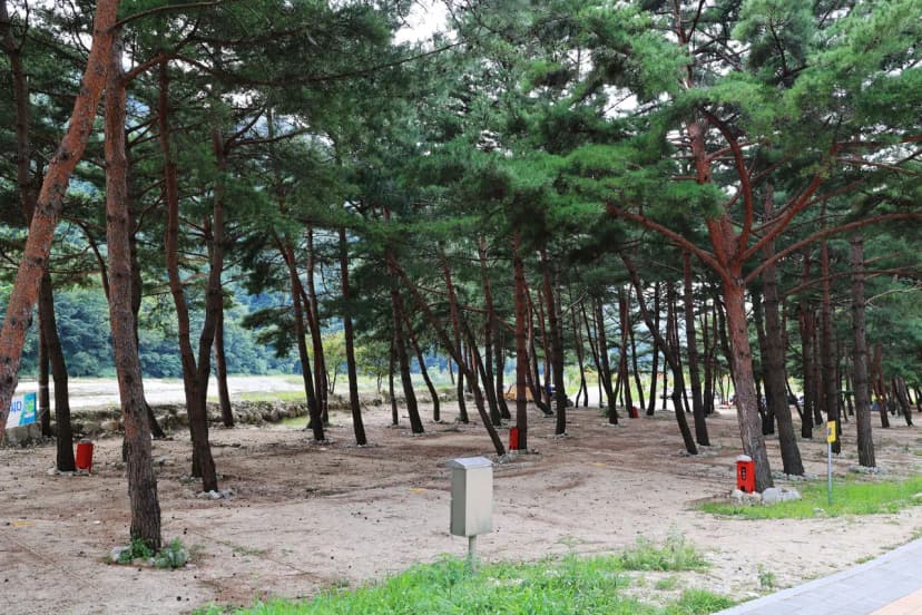 한계산솔밭야영장 사진 14