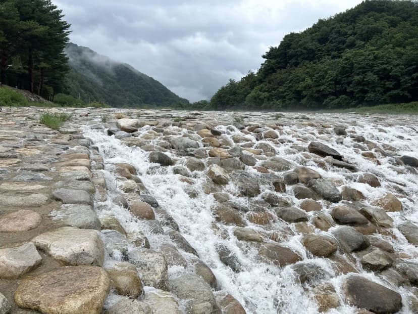 한계산솔밭야영장 사진 16