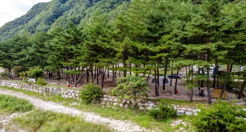 한계산솔밭야영장 사진 18