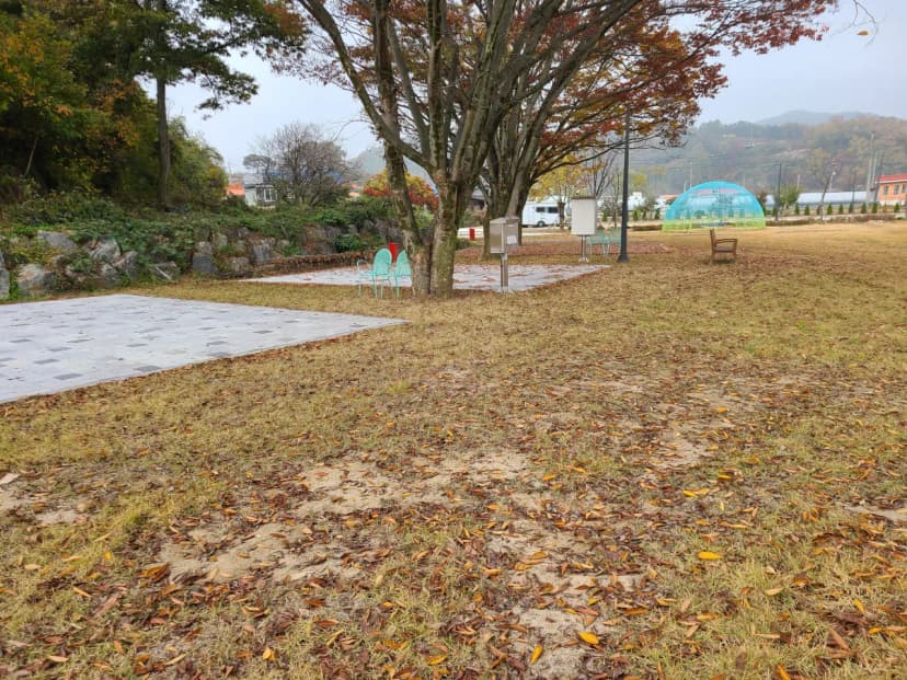 숩쏙캠핑장 사진 14