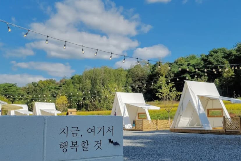 논논캠프 사진 3