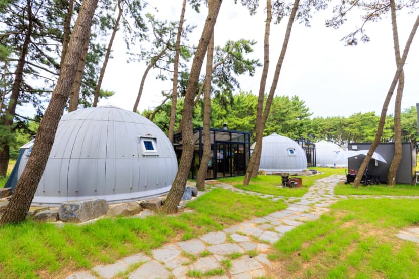 서천 장항글램핑장 사진 8