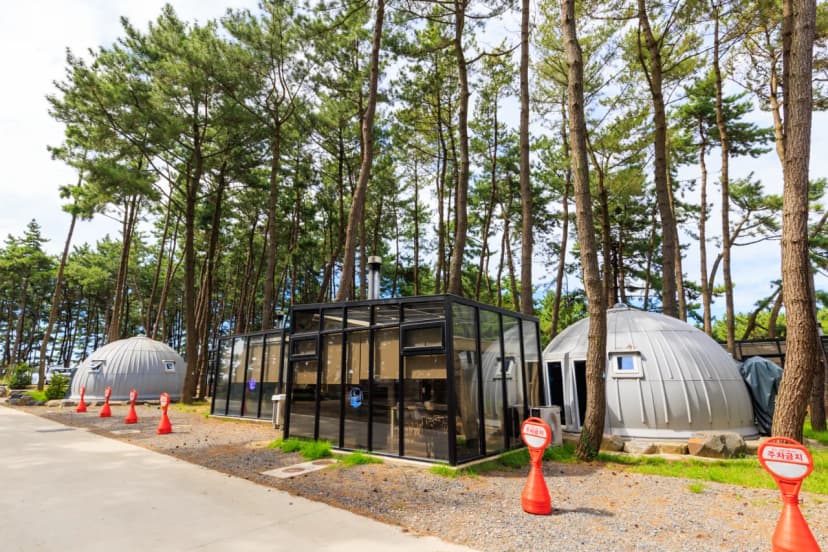 서천 장항글램핑장 사진 17