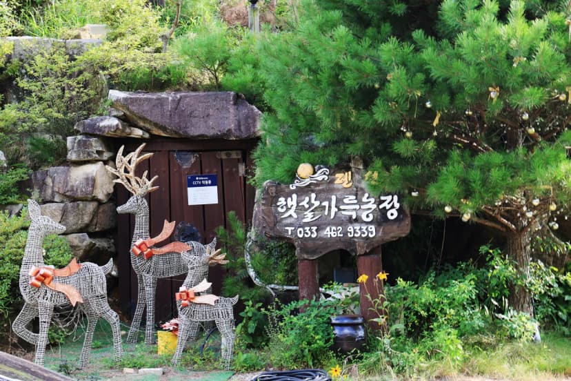 썬캠프 사진 5