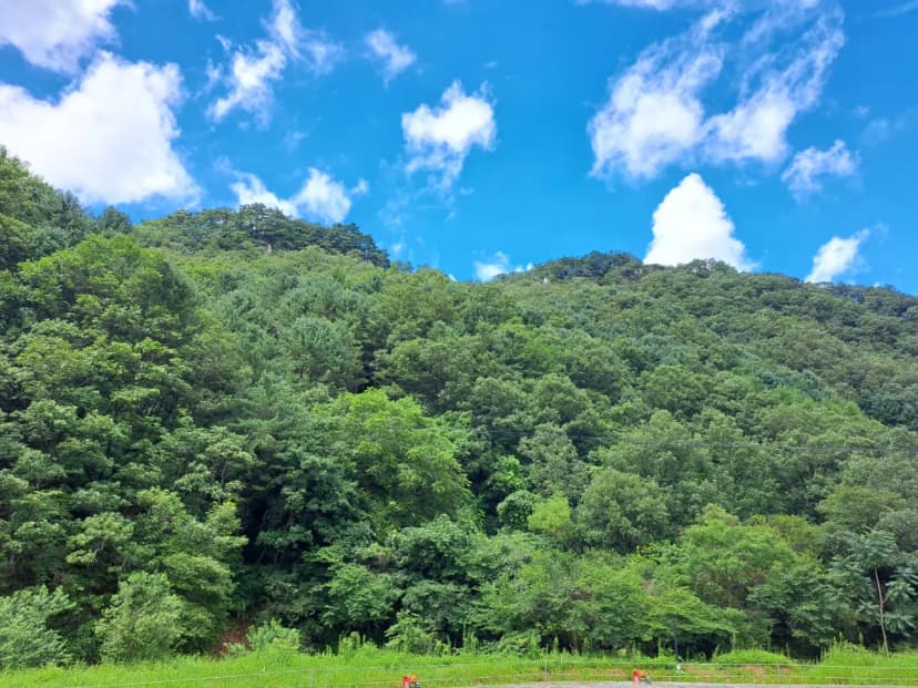 홍천도새울캠핑장 사진 19