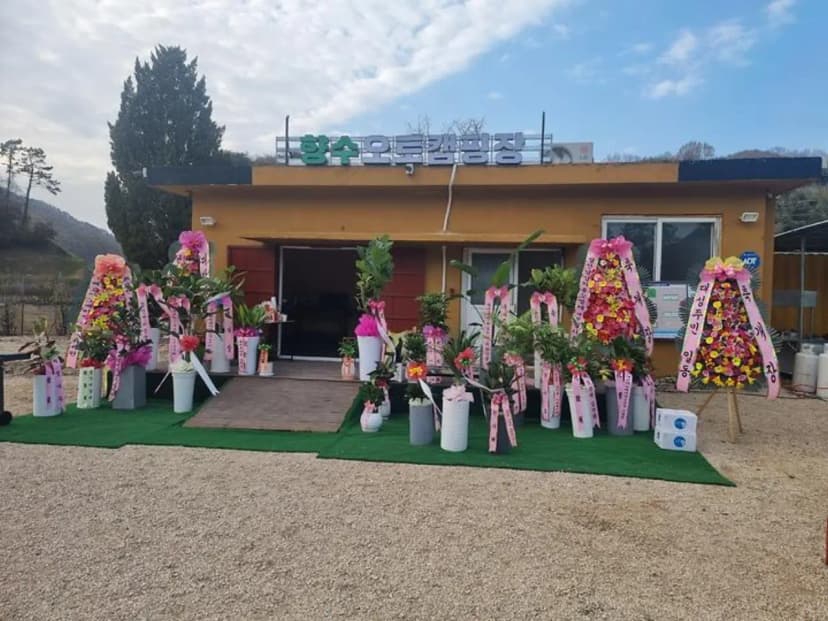 향수 오토캠핑장 사진 2
