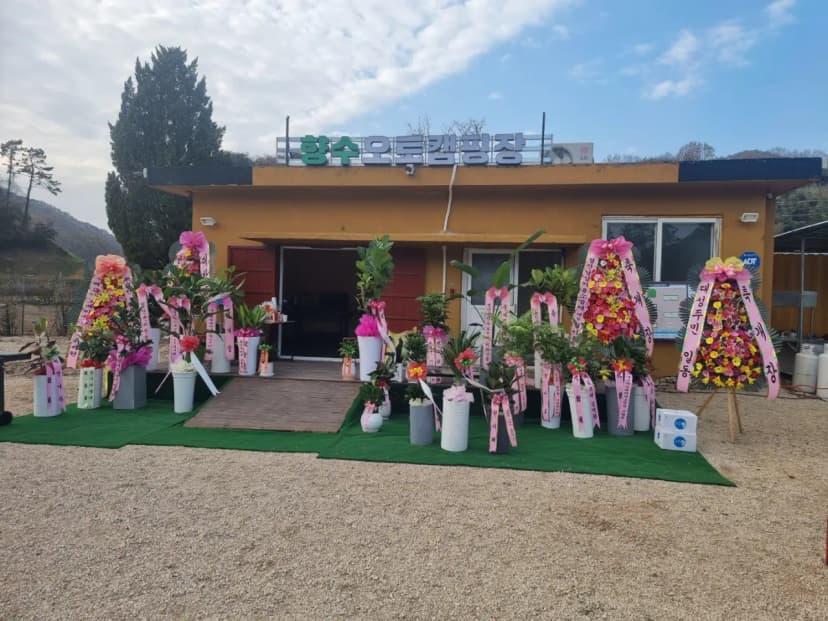 향수 오토캠핑장 사진 9