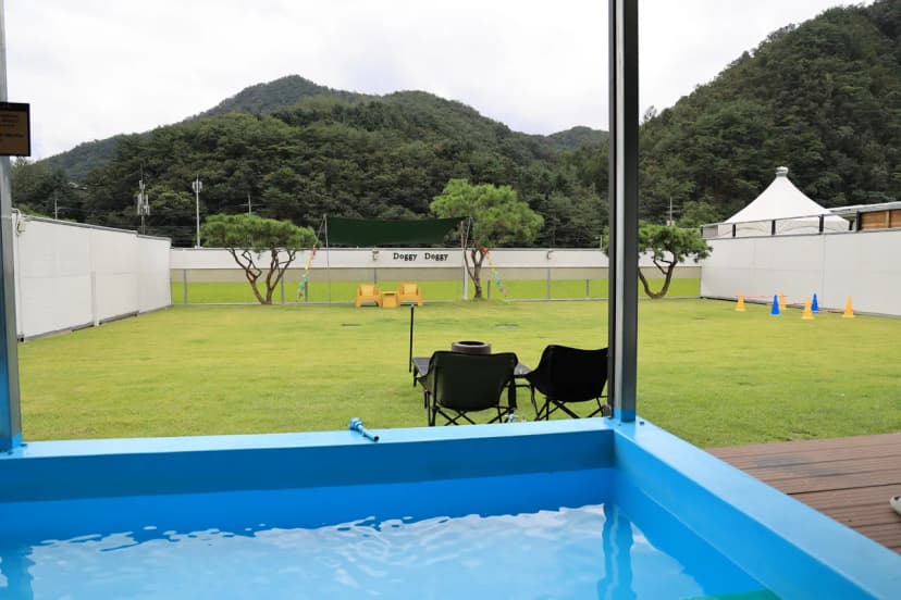 도기도기캠프 사진 9