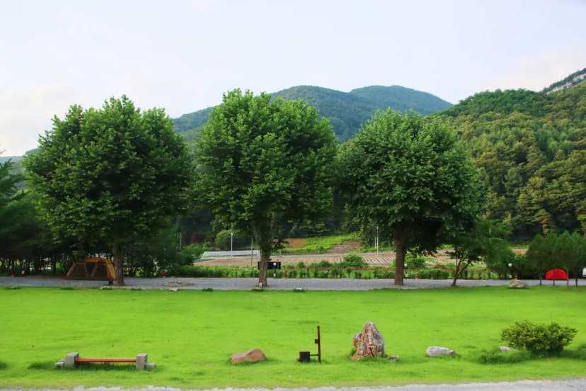 오손도손캠핑장 사진 15