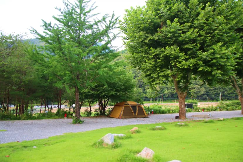 오손도손캠핑장 사진 16
