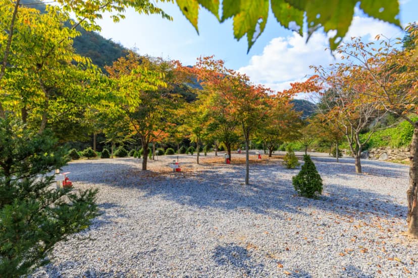 별하숲캠핑장 사진 5