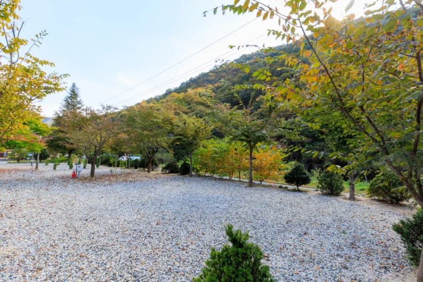 별하숲캠핑장 사진 6
