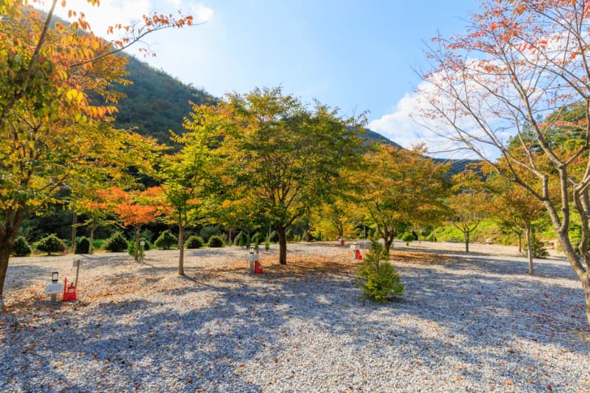 별하숲캠핑장 사진 10