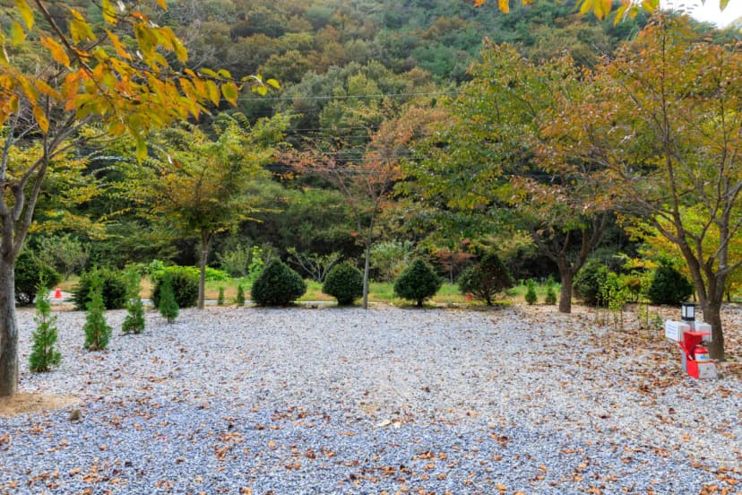 별하숲캠핑장 사진 11
