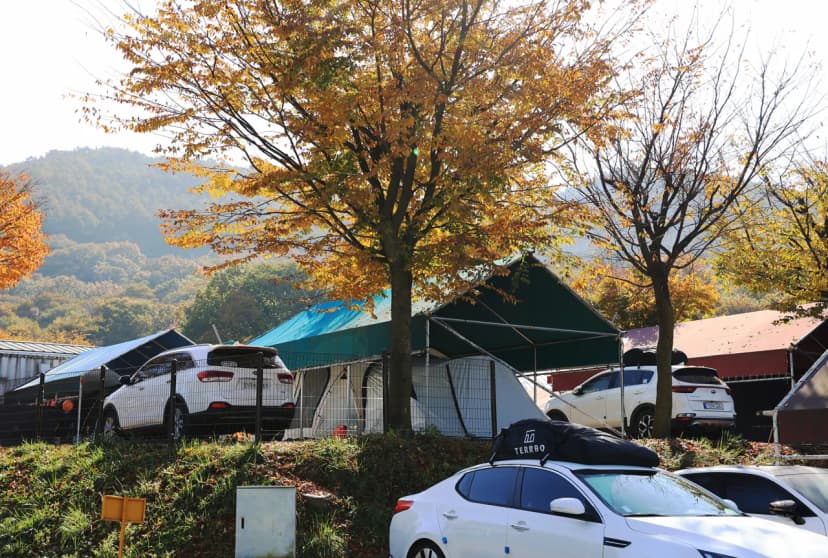 에스원캠프 사진 19