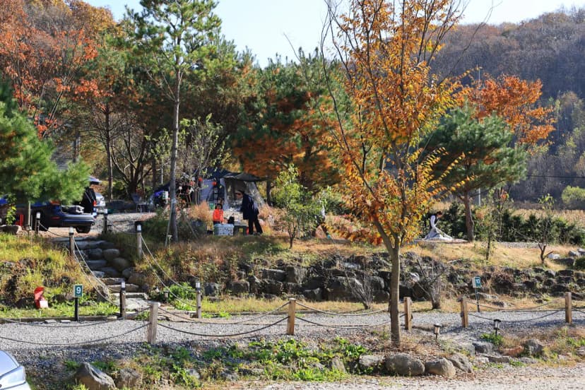 라곰 사진 10