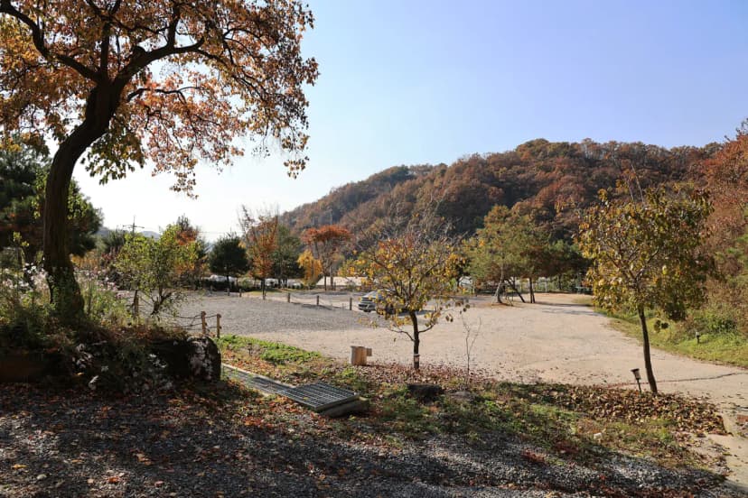 라곰 사진 14
