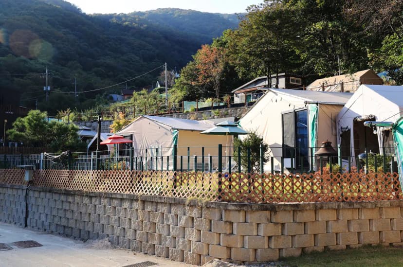 캠프위드펫&애견글램핑 사진 5