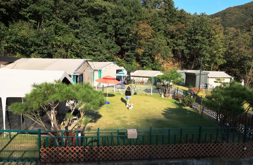 캠프위드펫&애견글램핑 사진 11
