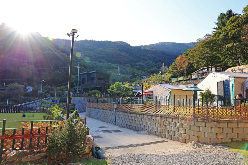 캠프위드펫&애견글램핑 사진 20