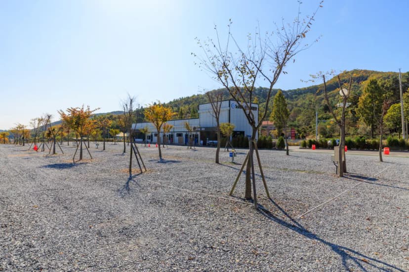 노리터 키즈 캠핑장 사진 5